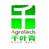 千小道