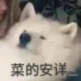 狼魂