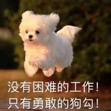 安琪琪琪琪