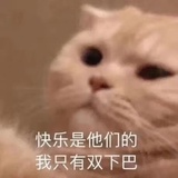 板烧鸡腿堡