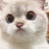 已销号