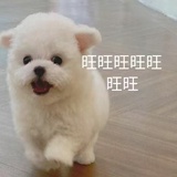 我是一个粉刷匠