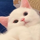 挞塔塔