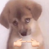睡觉小达人