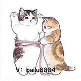 胖胖猫