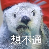 输入昵称