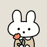 皎皎