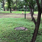 小乔