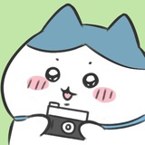 oioi