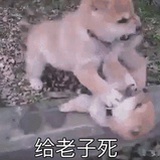 爱生活