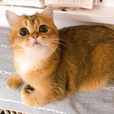 瑶