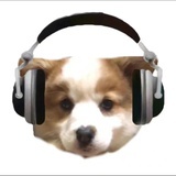 D：