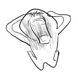 不吃酸葡萄