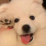黄油玉米糊糊