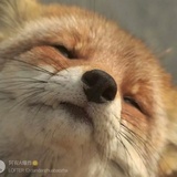 嘻蓝哗