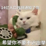 🔱煲煲