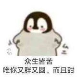 买买买不停