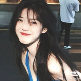 上岸小狗