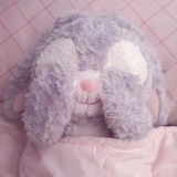 小月亮🌙