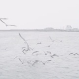 未命名