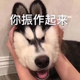 会飞的国王