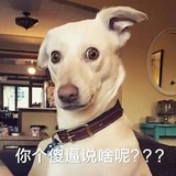 江湖骗子的爷爷