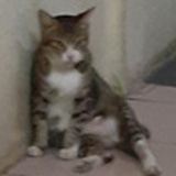 要我怎么捡