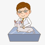 豆瓣宠医