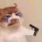 🧚