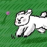 薄荷和生姜_