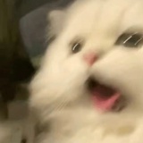 哦这样啊