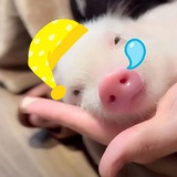 喝点丝瓜汤吧