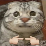 遇到困难睡大觉