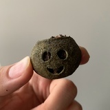 庆祝台湾回归