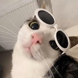 文昌公公看我行