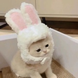 实在是无趣ya