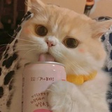 众筹网名