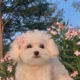 今天明天吃什么-