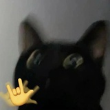 一滩鱼
