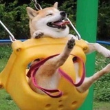 ( ㊖ ˍ ㊖ )