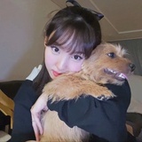 木之本樱
