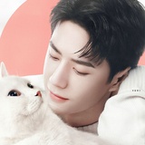啵猫