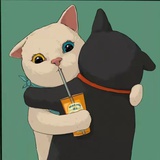 绿萝要浇水了