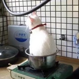 火锅超好吃！