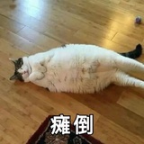 不知道取什么