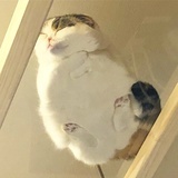 lil ma kun