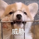 没事少说话