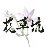 花草坑—老王