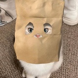 阿道夫洗衣机