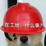 哦哦嗯嗯啊啊